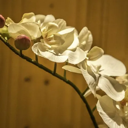 Vendégház Haus Patricia Lofer