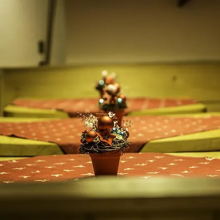 هاوس باتريشيا 3* لوفر