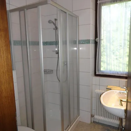 Haus Patricia Guest house Lofer