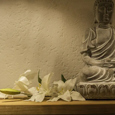 Haus Patricia Gasthuis 3*