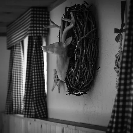 Haus Patricia Lofer